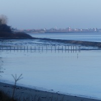 P1050629