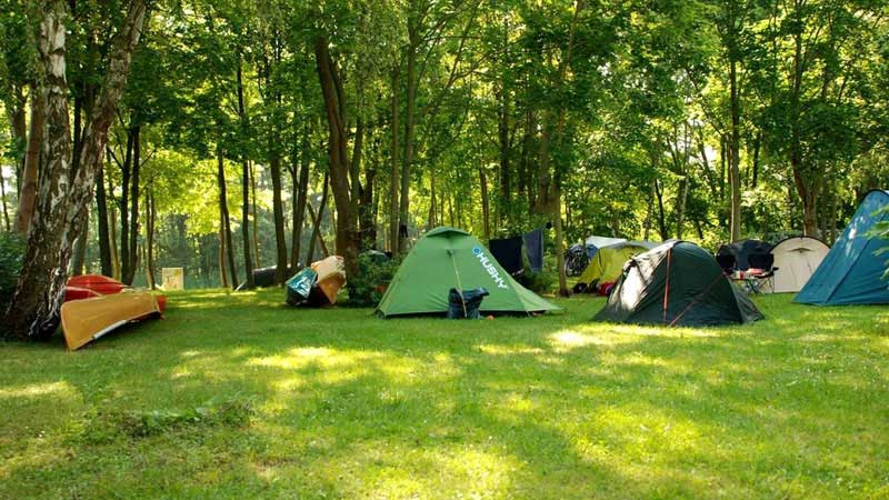 Zeltwiese, Langballig-Au Camping